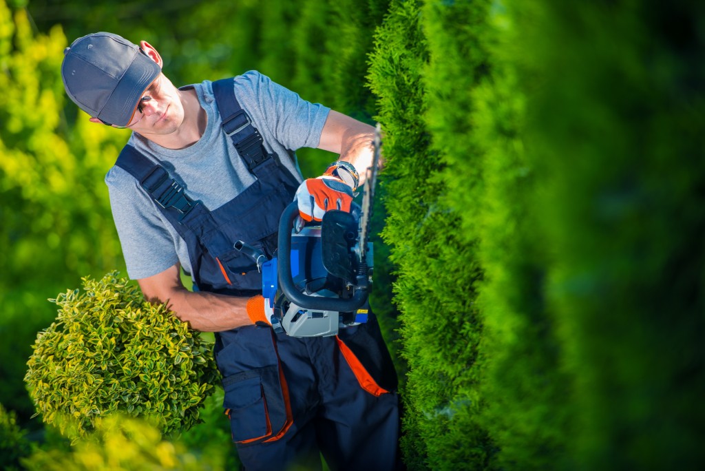 Polished for Business: Facts About Landscaping Franchises