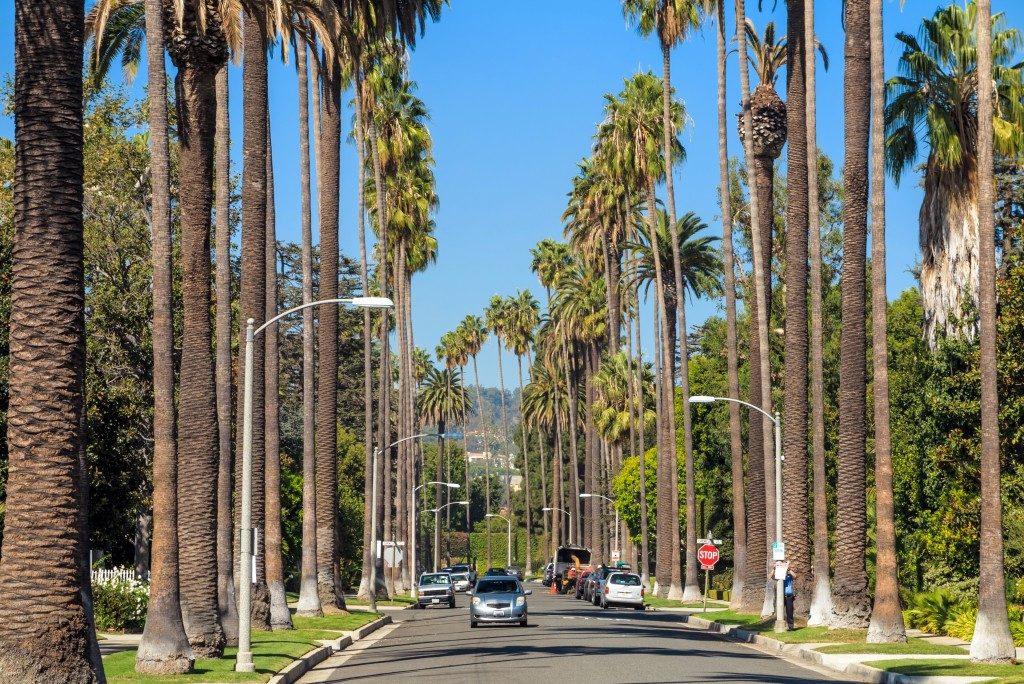 Streets of Beverly Hills, California